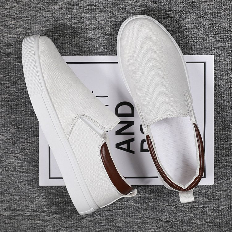 Men Canvas Shoe Casual Sneaker